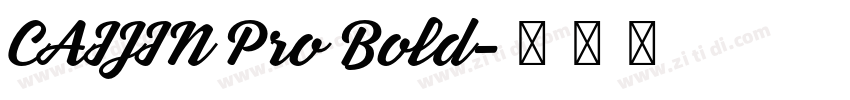 CAIJIN Pro Bold字体转换